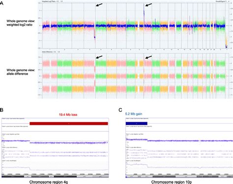 Microarray Data Patterns に対する画像結果