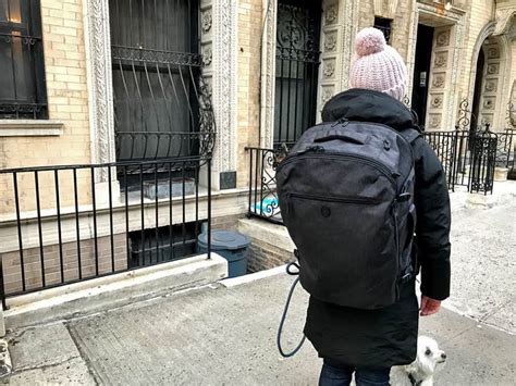 Image result for Tortuga Set Out