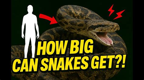 Toradh íomhá ar Python Size. Compare