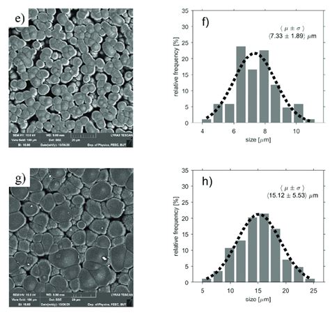 Toradh íomhá ar Particle Size Microscope