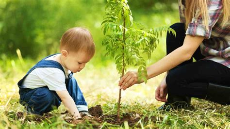 Image result for Strong Boy Plant