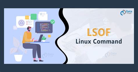 Image result for Lsof Command