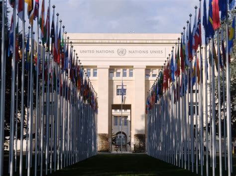 Un Labelled Guard Cells に対する画像結果