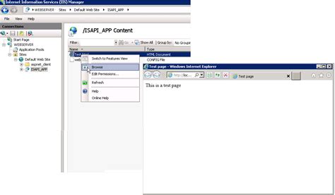 Image result for Launch ISAPI Dll From Browser