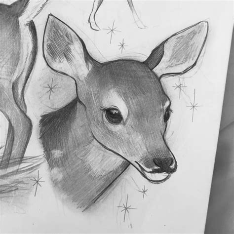 Toradh íomhá ar Fawn Face Drawing