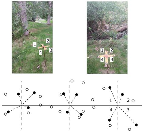 Image result for Point Frame Sampling