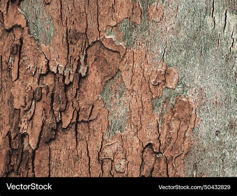 Image result for Sticks and Bark Vector