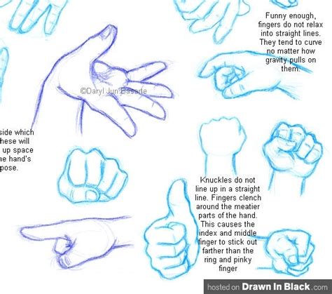 Image result for Cartoon Hand Drawing Reference