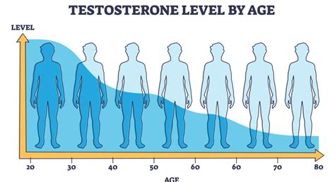 Image result for Normal Testosterone Levels by Age Chart