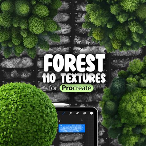 Image result for Procreate Forest