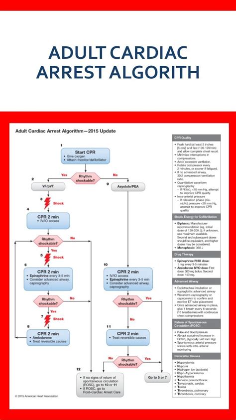 Image result for ACLS Cardiac Arrest Algorithm Poster