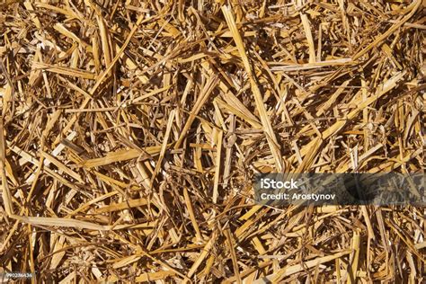 Image result for Straw Yellow Color
