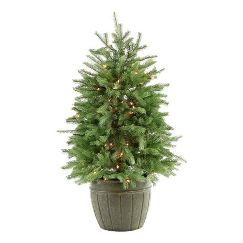 Image result for Potted Christmas Tree 4Ft Tall