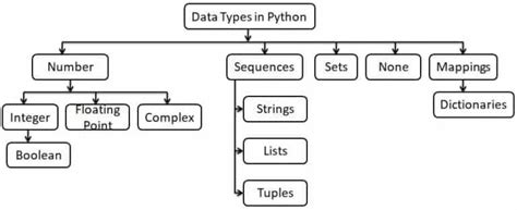 Image result for Number System in Python Class 11