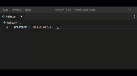 How Do You Do GIF Imae in Python vs Code に対する画像結果