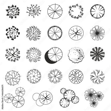 Image result for TreePlan Vector