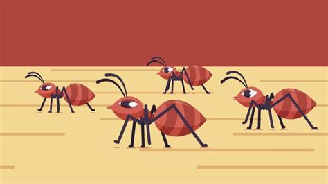 2D Ant Game in Unity に対する画像結果