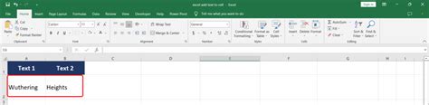 Résultat d’images pour Excel Add Text Format Cell