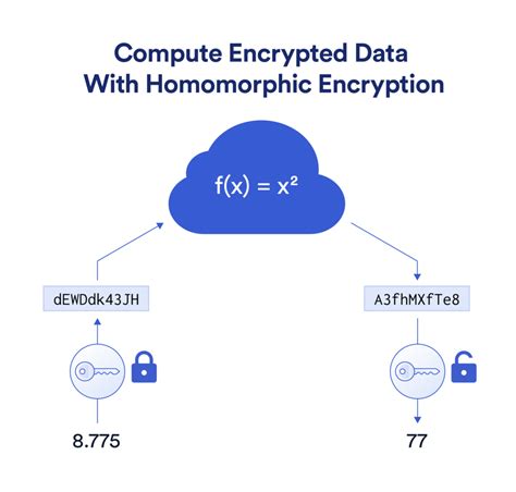 Image result for Homomorphic Encryption Image Logo Design