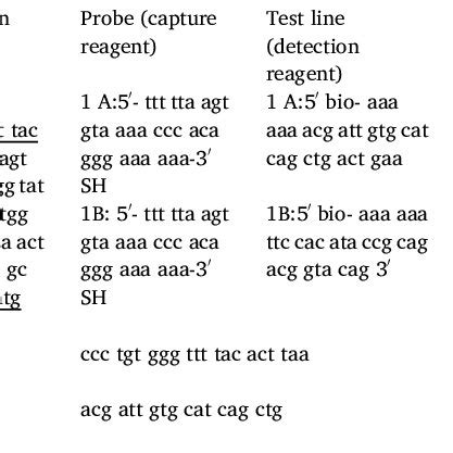 Toradh íomhá ar Sigmoidal Models PCR