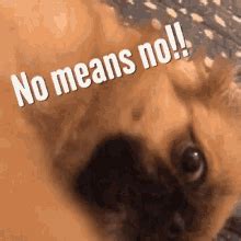 Image result for No Cheating PNG