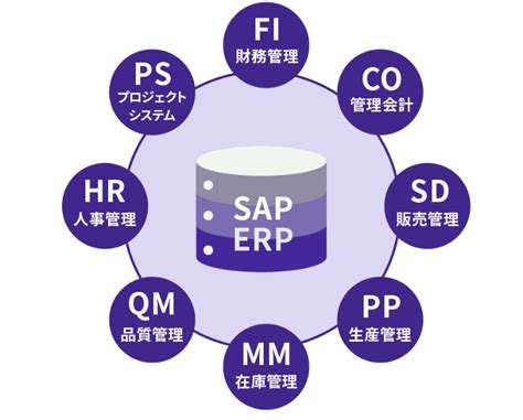Image result for SAP 4Hana