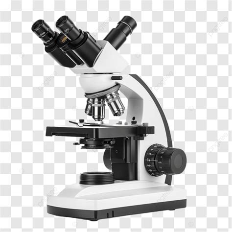 Résultat d’images pour Hand Microscope PNG