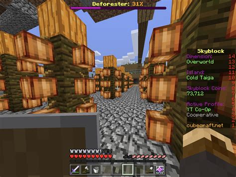 Image result for One Block Skyblock Minecraft Tips