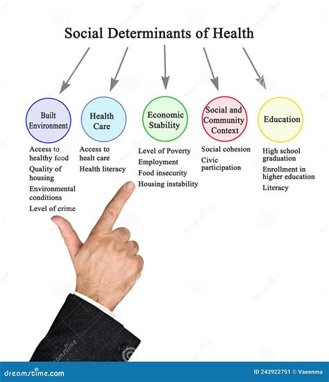 Toradh íomhá ar Determinants of Health