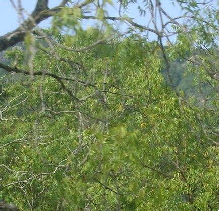 Toradh íomhá ar Multi-Value Map in Java