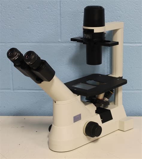 Image result for Inverse Microscope