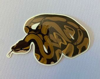 Image result for Yellow Ball Python Sticker