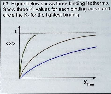 Binding Curve に対する画像結果