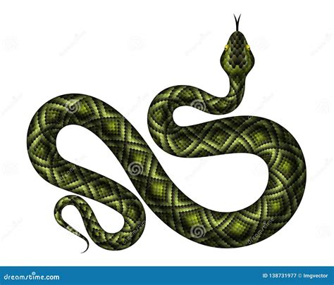 Image result for Cartoon Snake Python Realistic