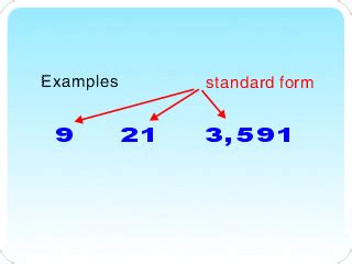 Afbeeldingsresultaten voor Non Examples of Standard Form