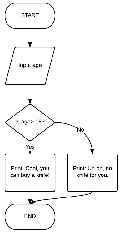 Image result for Flowchart Symbols OCR a Level Computer Science