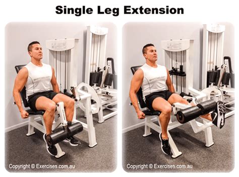 Toradh íomhá ar Leg Extension Exercise Alternative