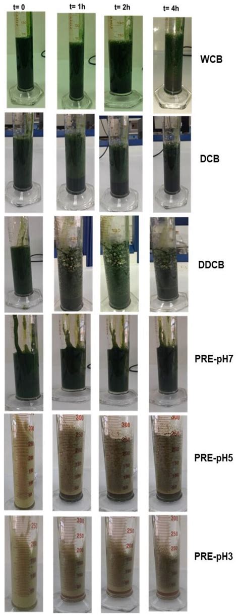 Image result for Colloidal Particle
