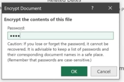 Image result for Encrypt Excel File with Password