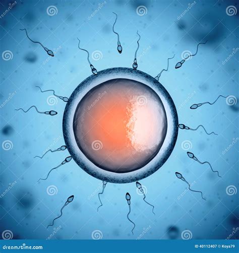 Image result for Sperm and Egg Cell Electron Microscope