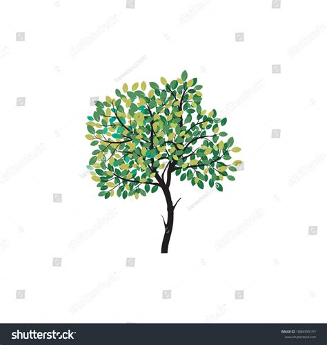 Realistic Tree Vector に対する画像結果