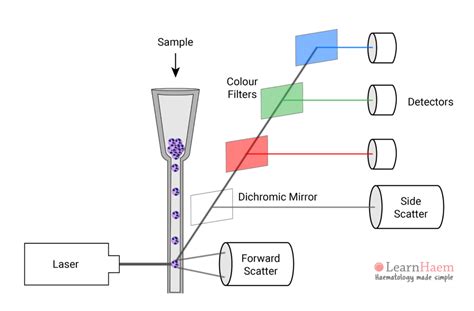 Image result for Flow Cytometry Test