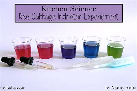 Toradh íomhá ar Making Red Cabbage Indicator