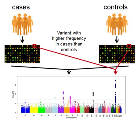 Afbeeldingsresultaten voor Array Nature Method