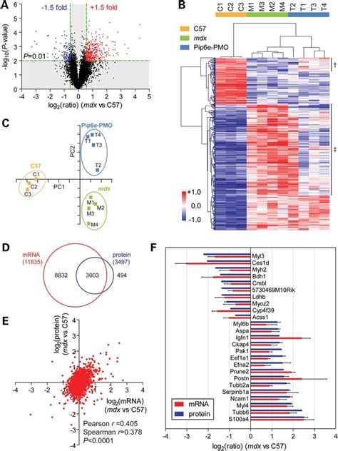 Afbeeldingsresultaten voor Transcriptomics Figure