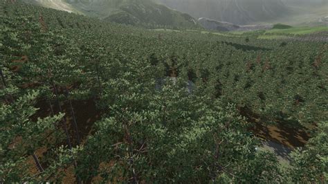 Image result for FS22 Forestry Map