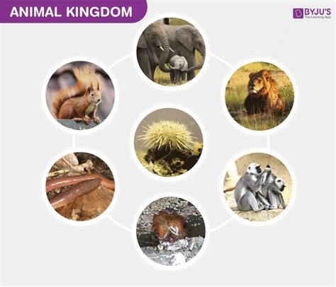 Image result for 9th Science Animal Kingdom Answer In Guide