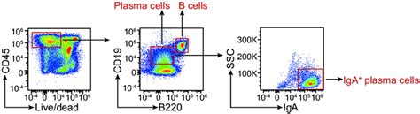 Image result for Marimo Cell Gating Flow Cytometry