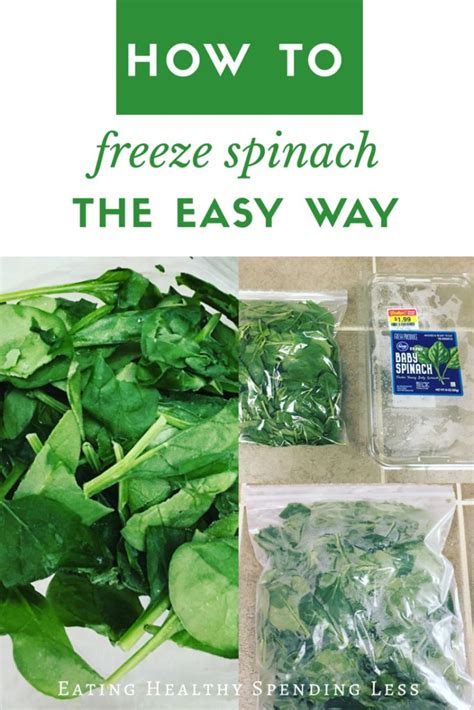 Image result for How to Freeze Spinach Leaves