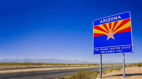 Image result for Arizona Desert Tarantula